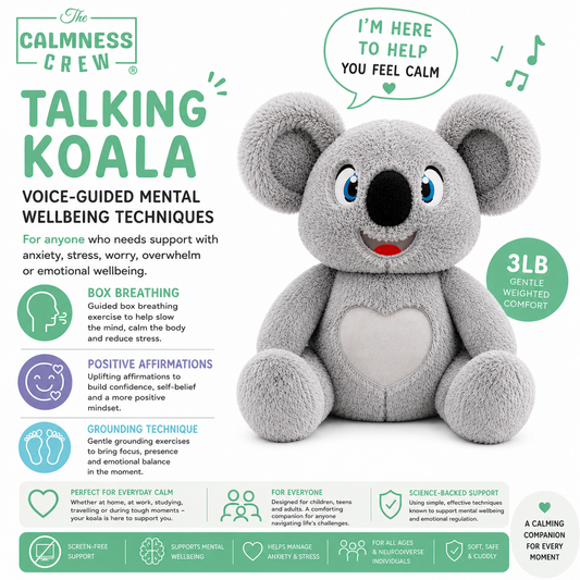 Koala Weighted Talking Plushie