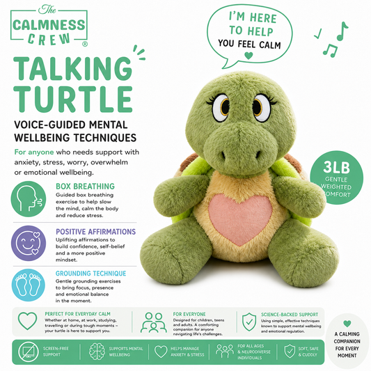 Turtle Weighted Talking Plushie
