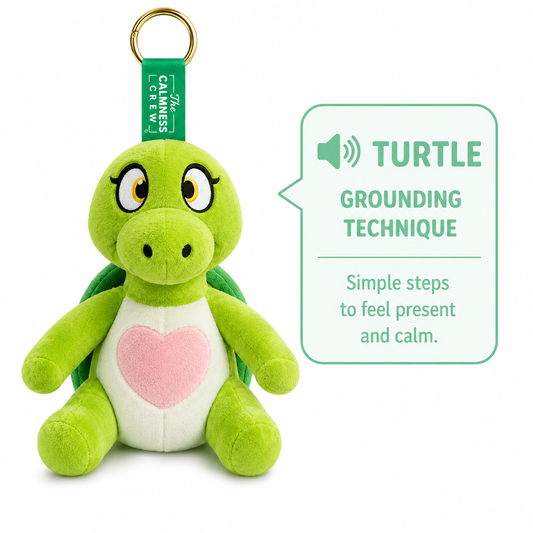 Turtle Portable Talking Plushie